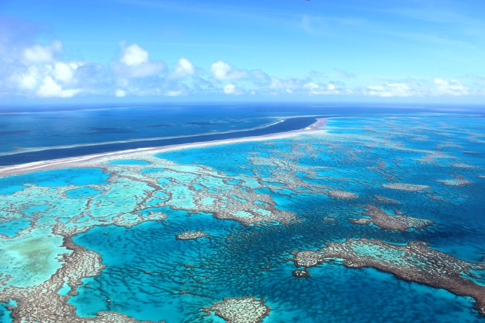 Jan 10, 2017 · whitehaven beach chilling at whitehaven. Reef And Whitehaven Beach Landing Helicopter Tour Scenic Flight Booker