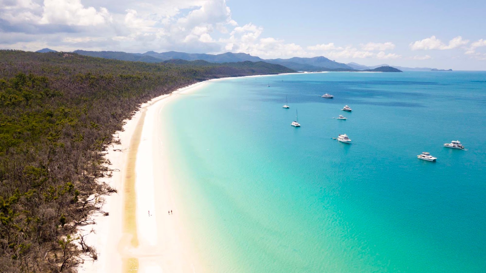 To protect the environment and endangered species found in the whitsundays, the queensland government declared whitsunday island and the surrounding islands as . The Best Whitehaven Beach Tour With Cruise Whitsundays Explore Shaw