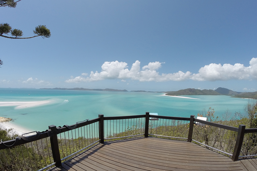 The irukandji (or box jellyfish) is not just a bit more painful than for. The Travel Junkie The Whitsundays