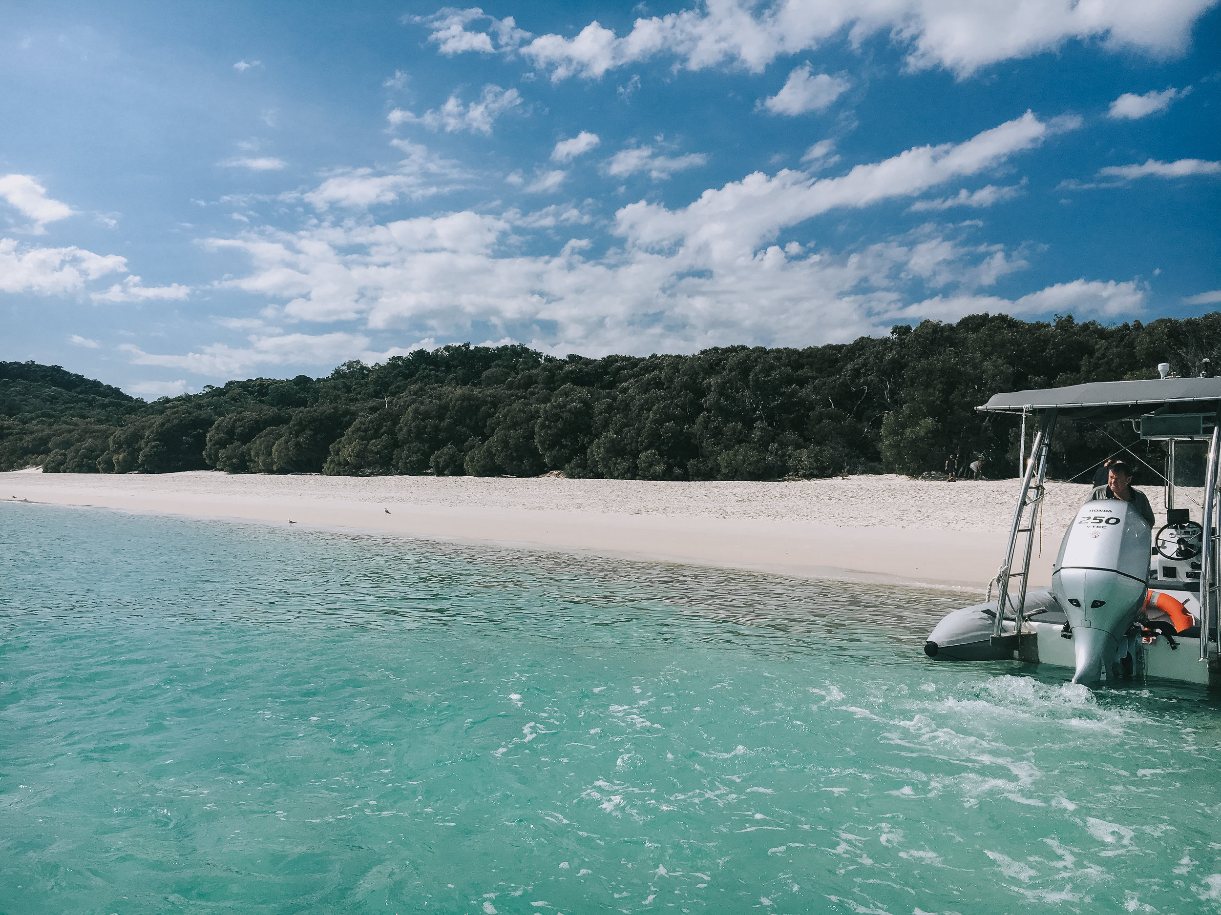 Full day cruise including lunch, drinks and snorkelling $209.00 Solo Travel In Australia Part Iii Cairns Whitsunday Islands Melbourne Alps And Abroad