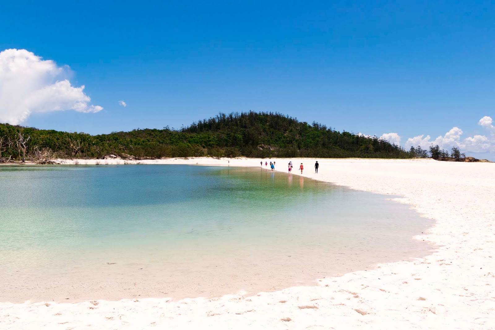 What you'll love about the half day hill inlet at whitehaven beach tour: The Best Whitehaven Beach Tour With Cruise Whitsundays Explore Shaw