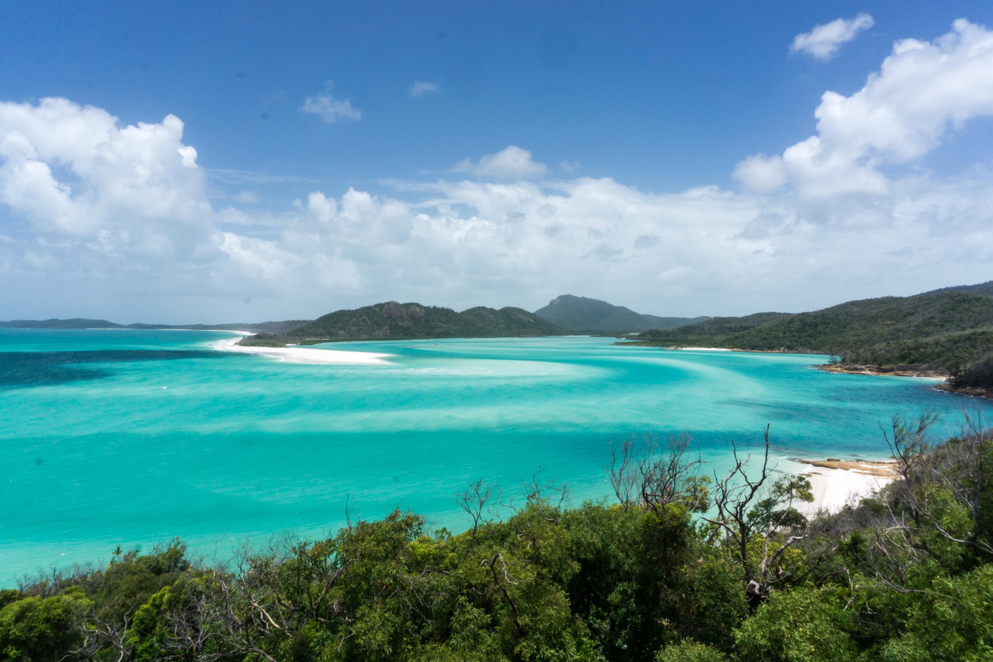 There is a local rumour that the sand of whitehaven beach is so pure, nasa used it to create the glass for the hubble telescope in the 1970s. The Best Beach In The World Driving The Great Barrier Reef From By Keenan Ngo Adventure Arc Medium