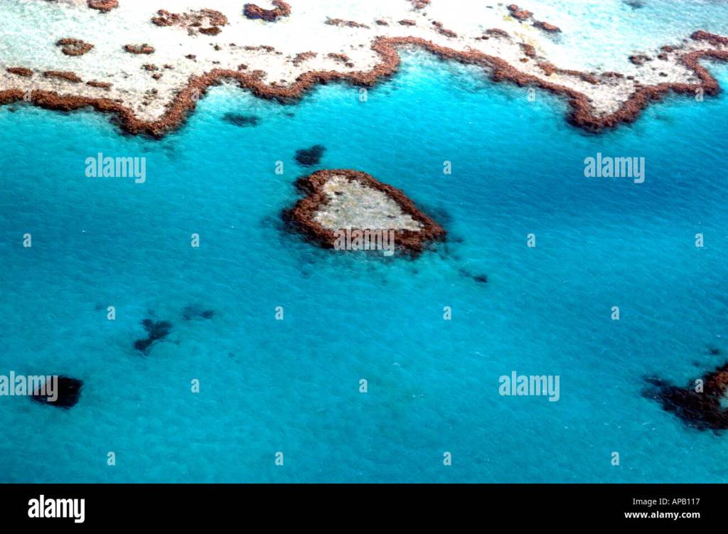 49+ Is Airlie Beach Near The Great Barrier&nbsp;Reef