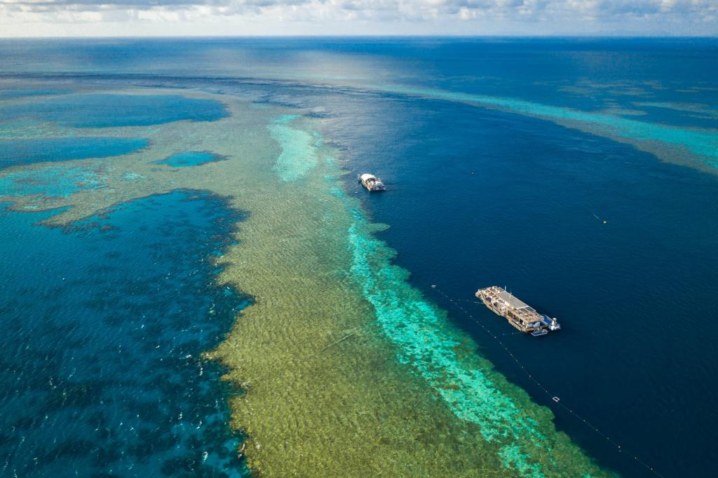 21+ Whitsundays On The Beach&nbsp;Packages