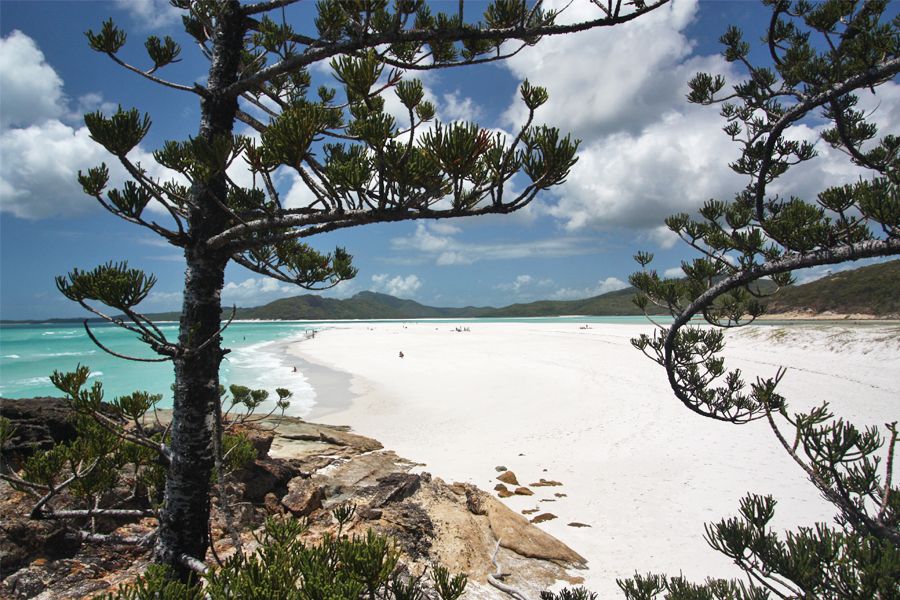 16+ Why Is Whitehaven Beach Sand So White&nbsp;Package
