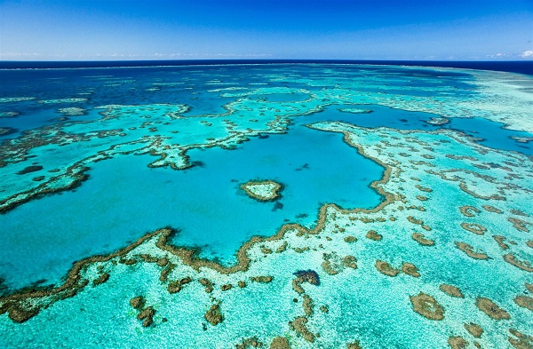 Courtesy of tourism tropical north queensland. Natural Wonder The Great Barrier Reef Queensland World S Largest Coral Reef System And Spectacular Beaches Geotourism